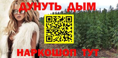 индика Будённовск